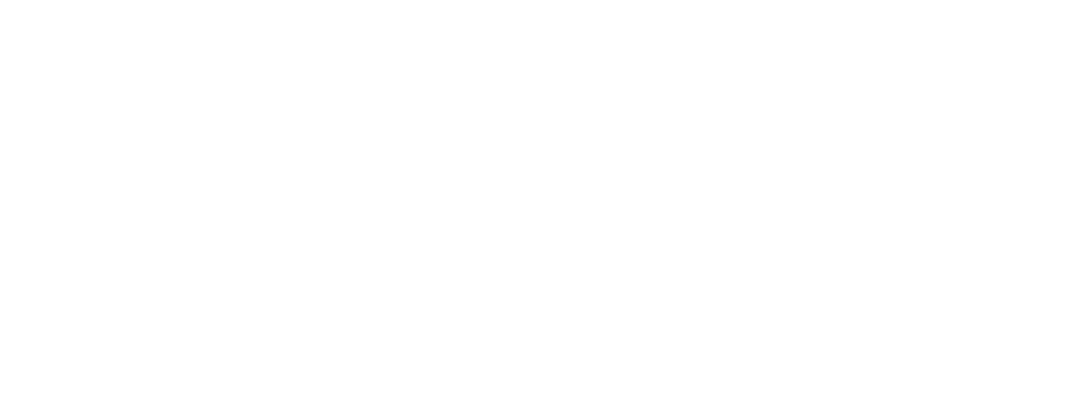 Fortex Fortex