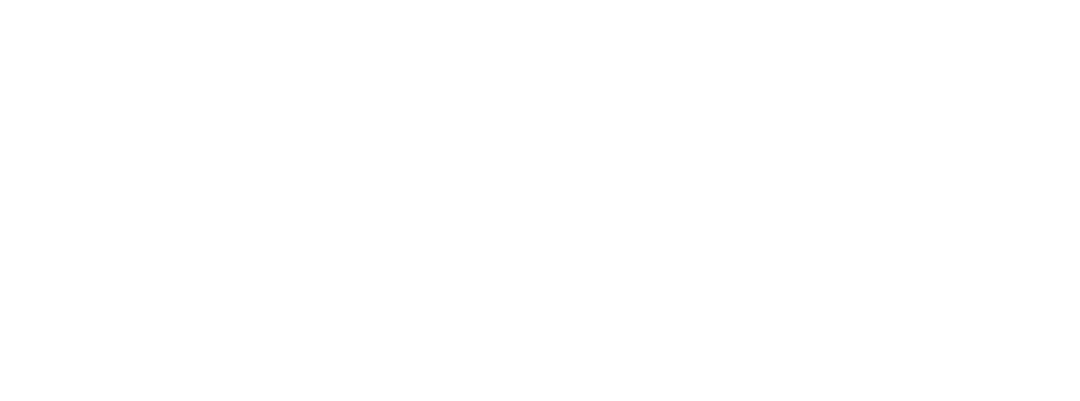 J.P. Morgan J.P. Morgan